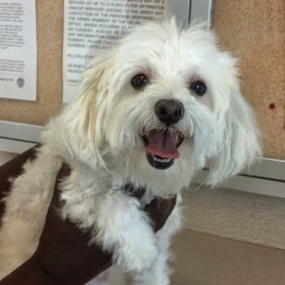 Meet your Posher, Pressonkj - Picture 1 of 1